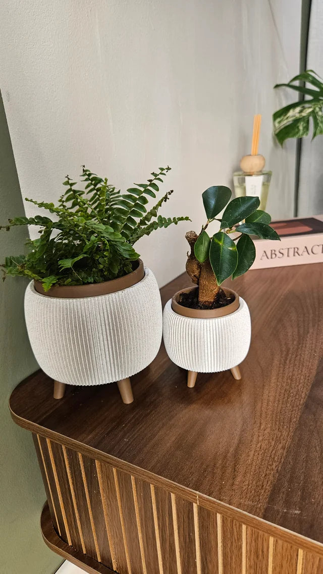 PlantNest Pot