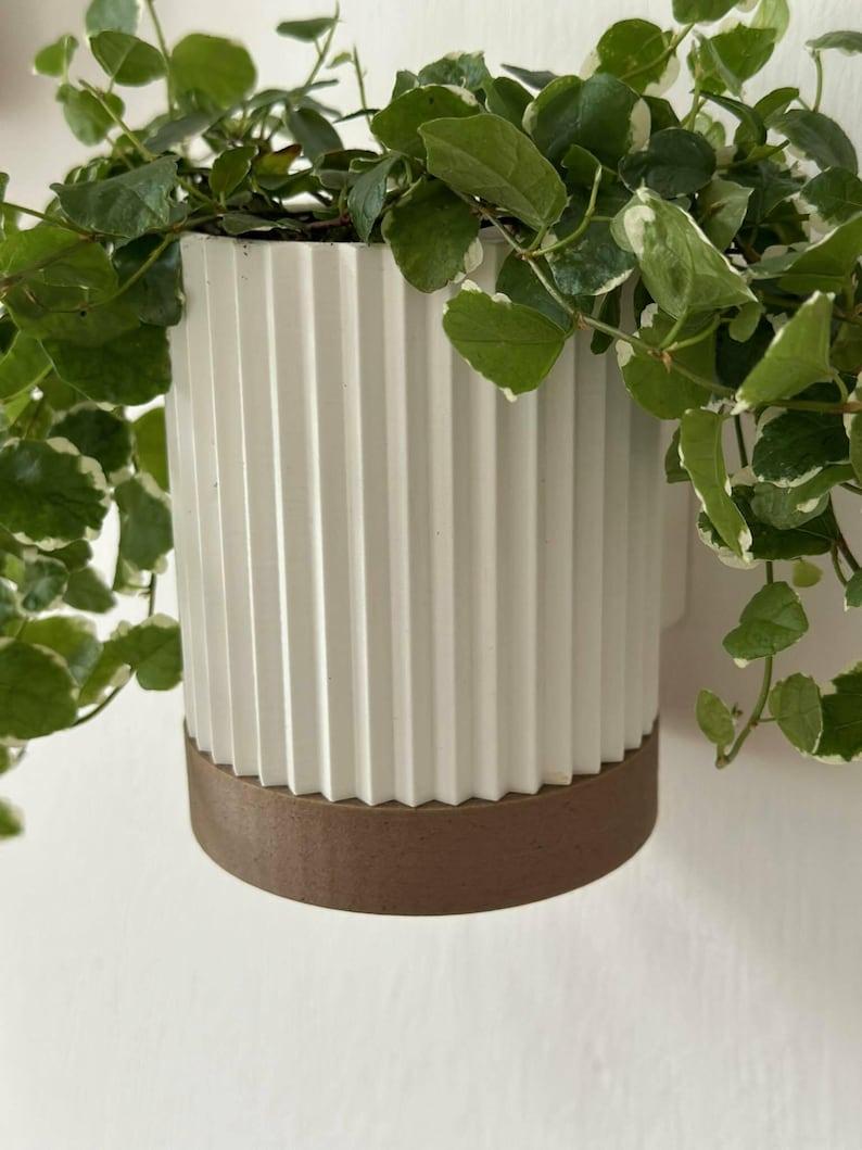 Modern Wall Planter – Geometric Wall-Mounted Planter for Small Indoor Plants & Cuttings