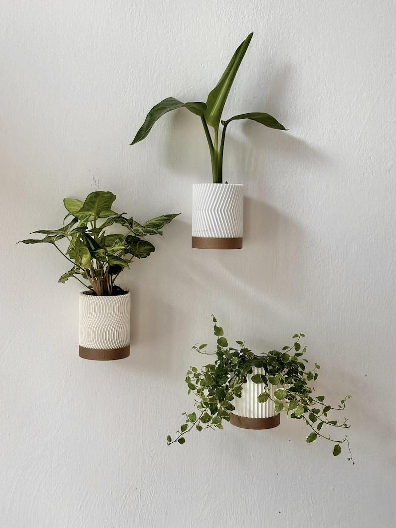Modern Wall Planter – Geometric Wall-Mounted Planter for Small Indoor Plants & Cuttings