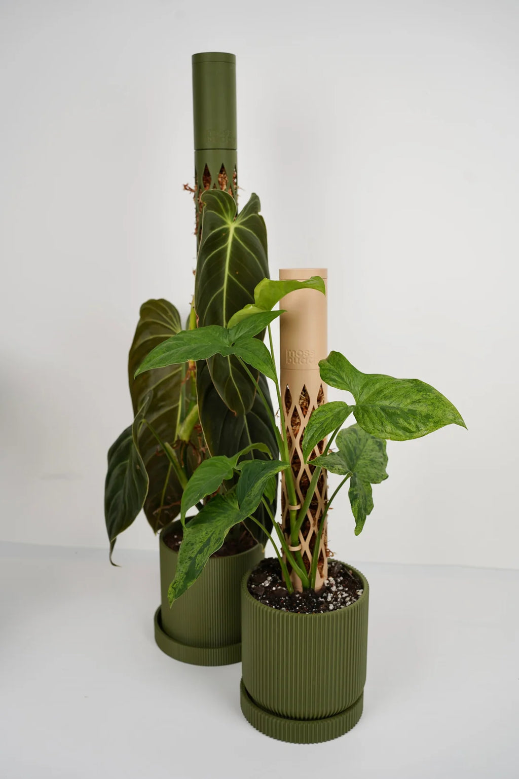 MOSS BUDDY Modular Moss Pole Starter Pack – Self-Watering Climbing Pole, 3D Printed in Muted Green & Beige