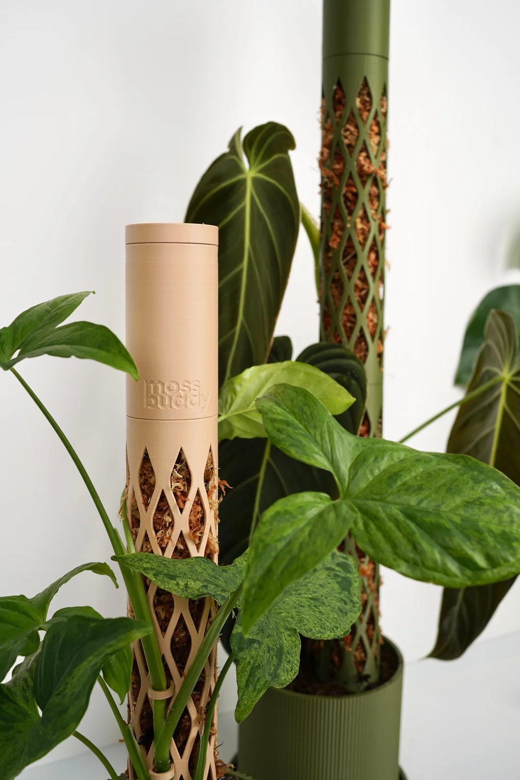 MOSS BUDDY Modular Moss Pole Starter Pack – Self-Watering Climbing Pole, 3D Printed in Muted Green & Beige