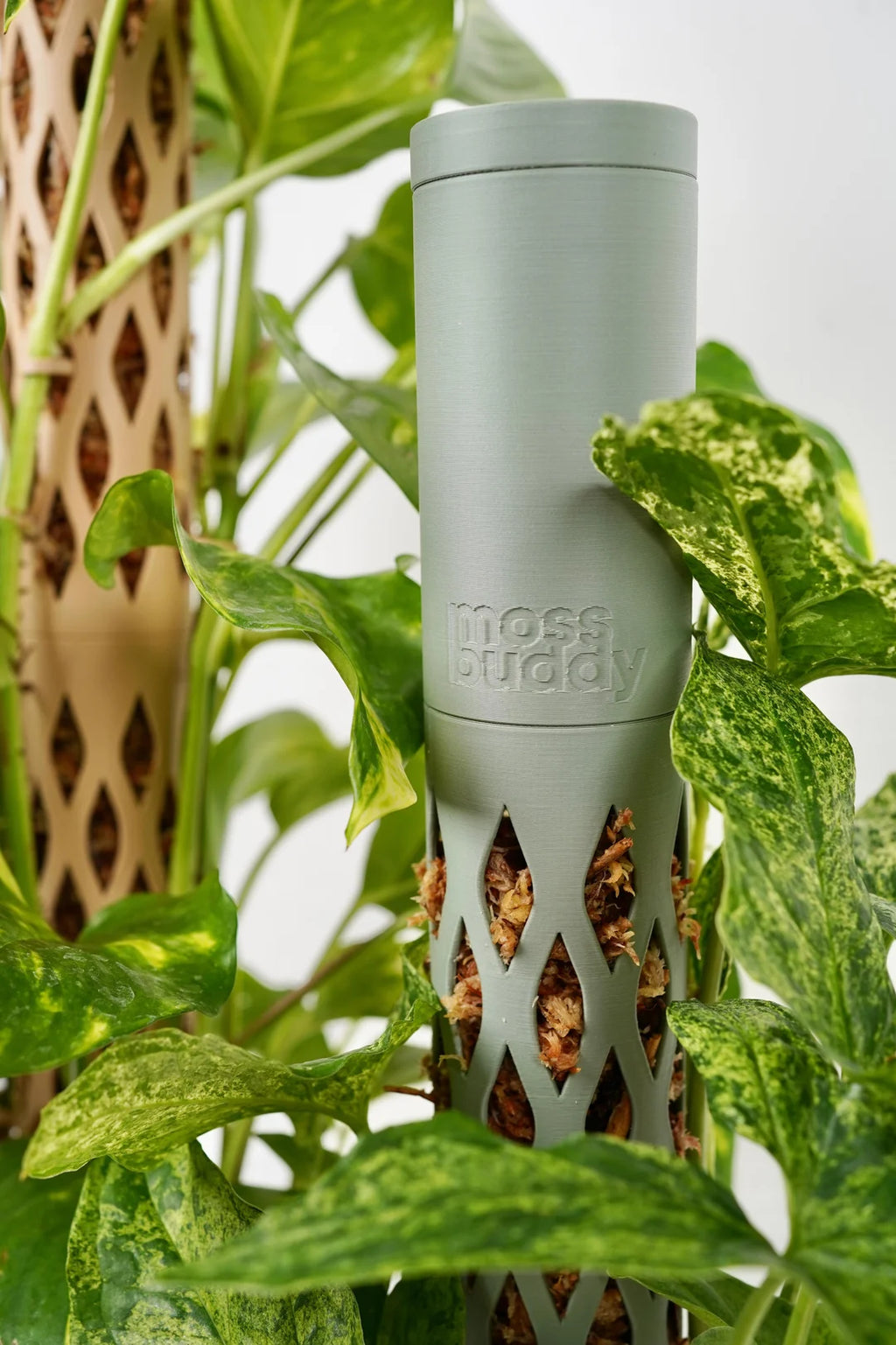 MOSS BUDDY Modular Moss Pole Starter Pack – Self-Watering Climbing Pole, 3D Printed in Muted Green & Beige